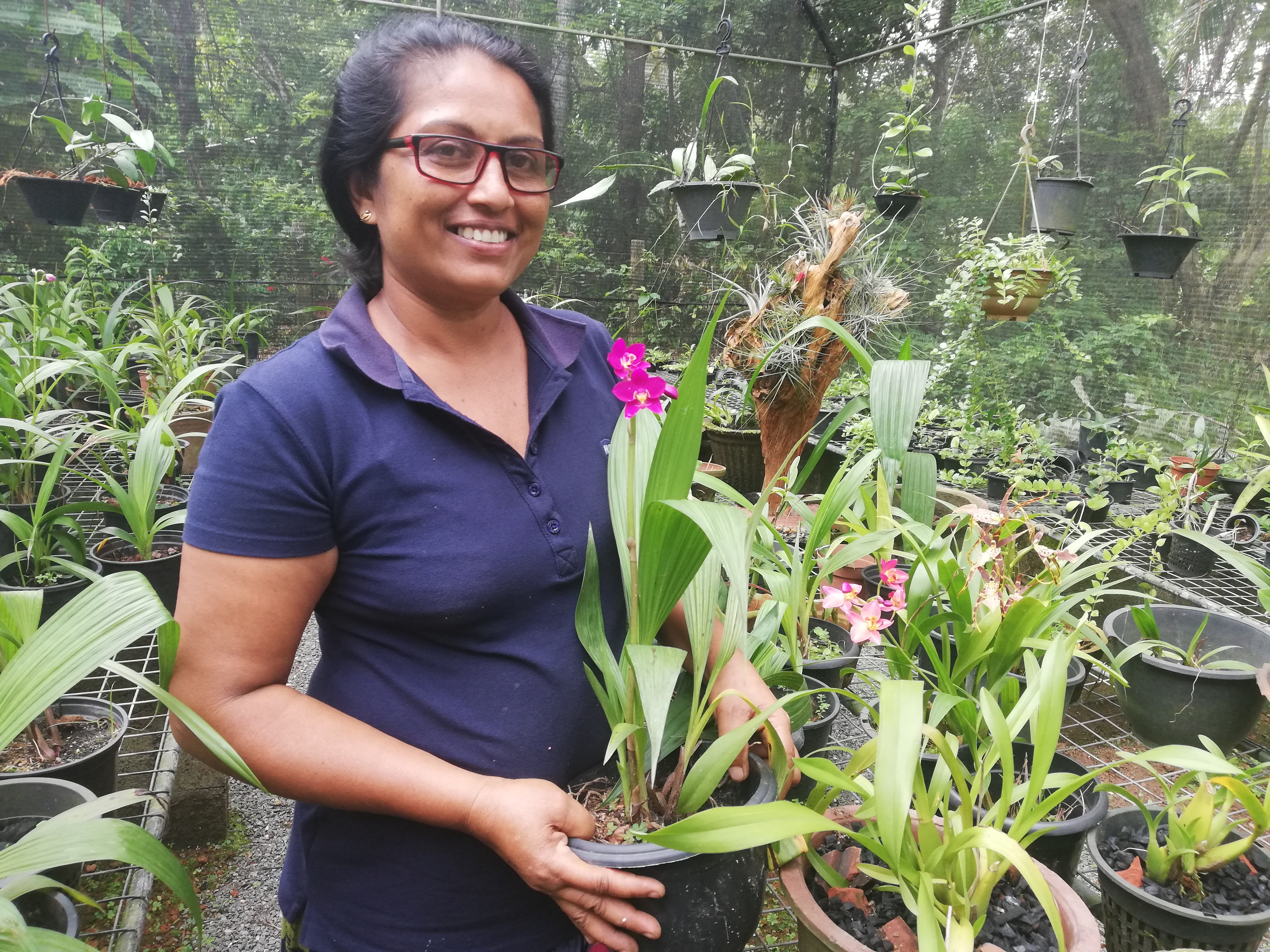 Spreading The Seeds Of Growth To Women Smes In Sri Lanka Women Entrepreneurs Finance Initiative