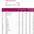 WMSME Business Case Tool